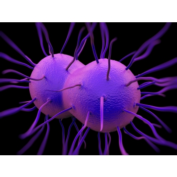 gonorrhea-bacterium.jpg