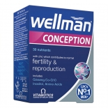 Wellman Conception vitamiinid meestele 30tbl