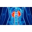 wbz-symptoms-of-kidney-disease.jpg